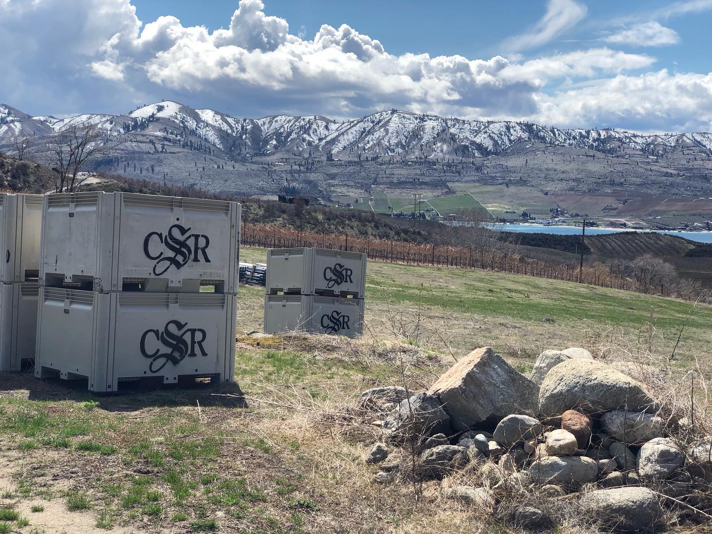 2023-wine-year-in-review-2