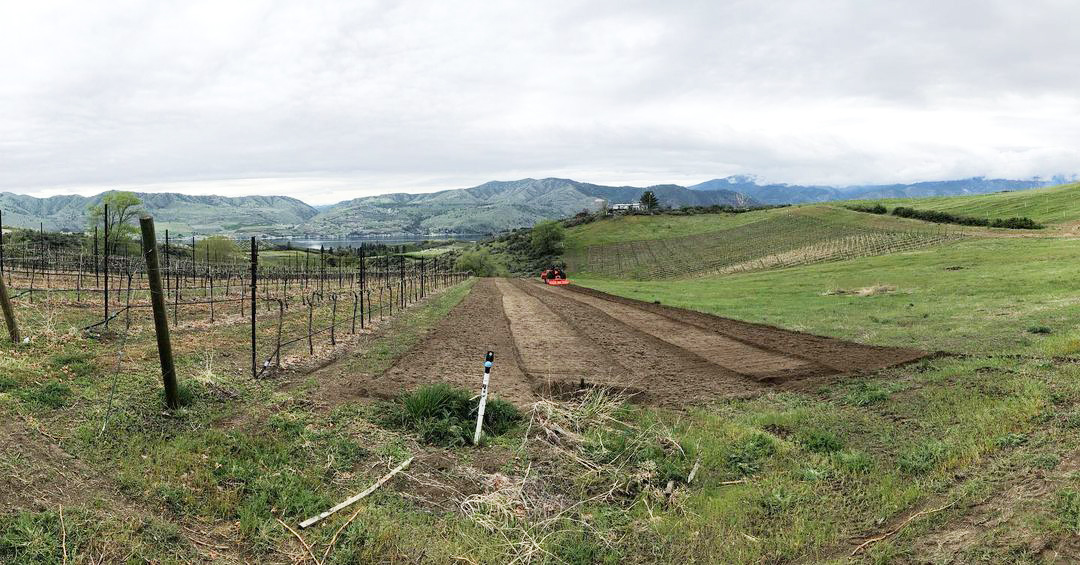 2023-wine-year-in-review-3